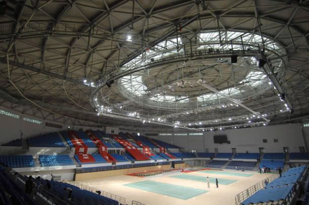 安赛龙独家专访:揭秘奥运冠军的成长之路