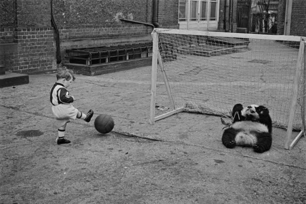 鹿晗谈C罗:他是我坚持梦想的动力源泉