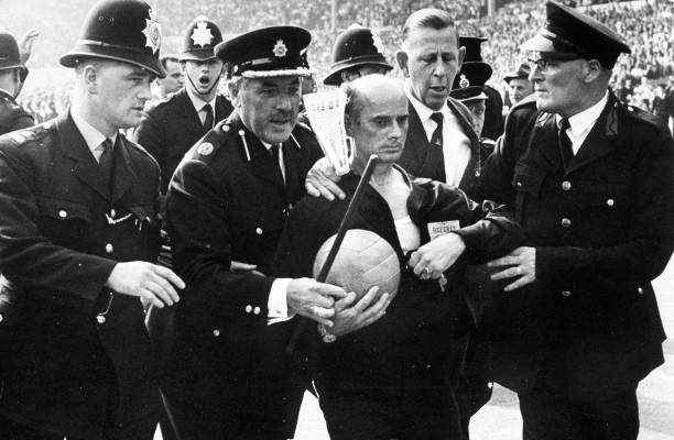 从草皮到看台:标准足球场建设费用全解析