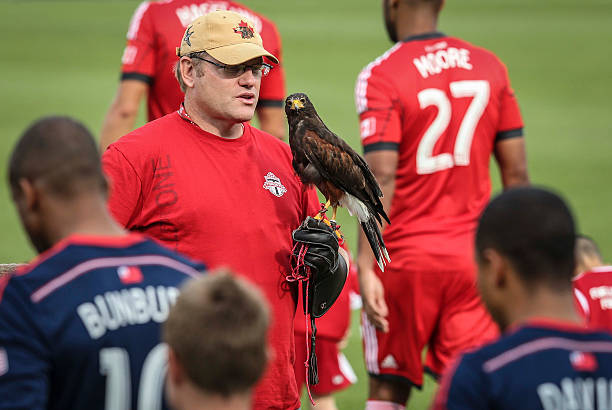 2029年欧冠冠军诞生:谁将捧起大耳朵杯?