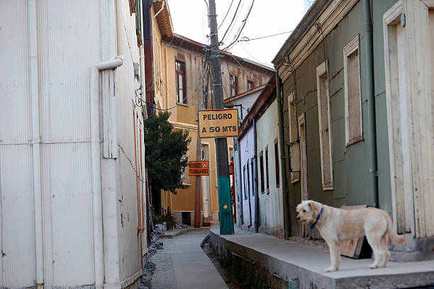 官方授权!马拉多纳纪念球衣致敬一代球王