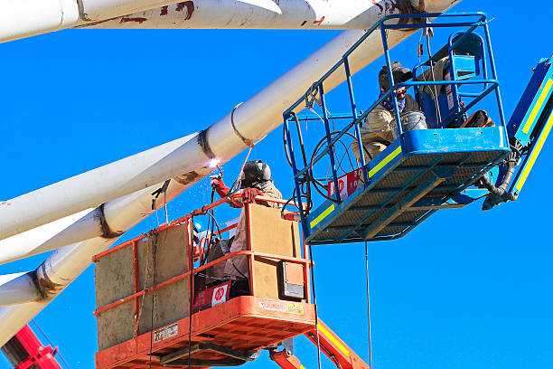 喀麦隆足球在国际足联排名中的变迁与实力评估