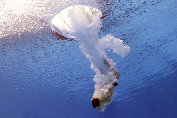 陈若琳跳水动作分解视频:学习冠军的技术细节