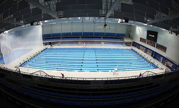 田径史上的传奇:盘点历届跳远世界纪录保持者