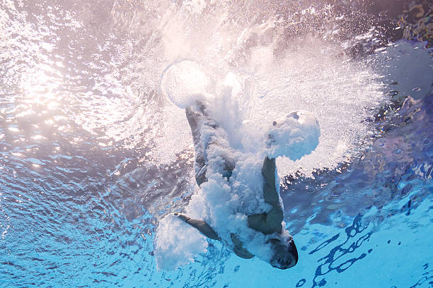 全红婵未来展望:新科奥运冠军的职业规划与发展方向