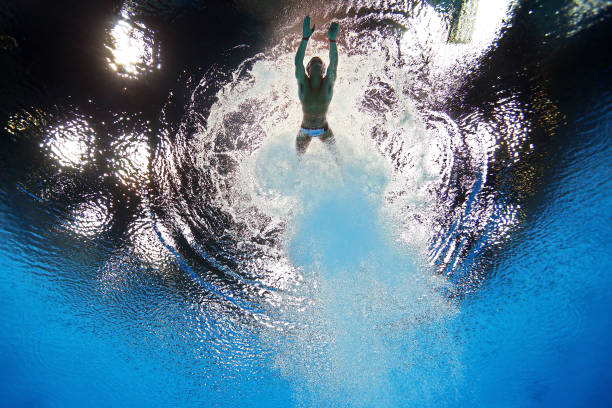 惊艳全场!全红婵2024年跳水比赛精彩集锦