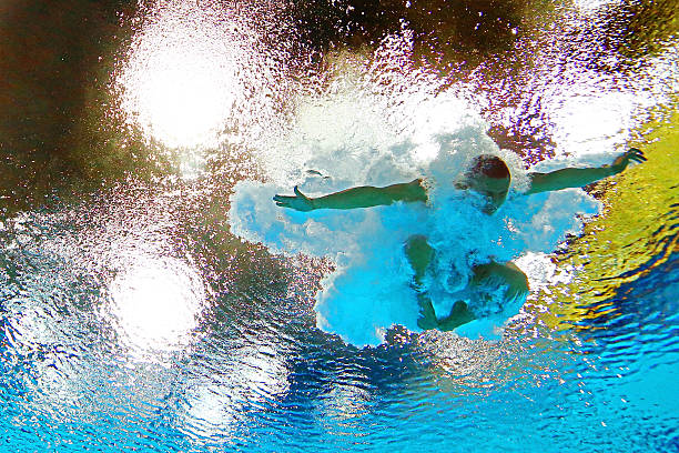 全红婵比赛结束后的下一步计划是什么?