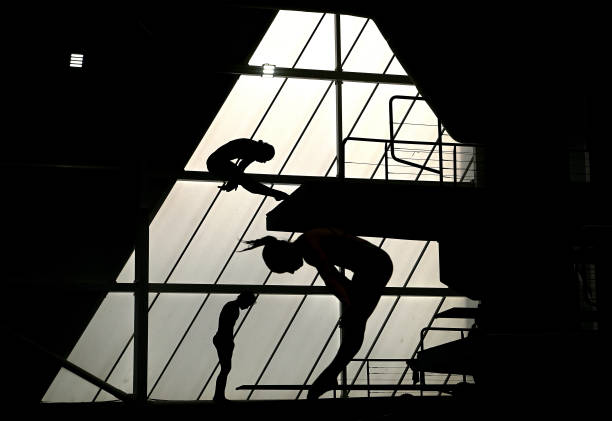 技术解析:陈若琳和全红婵的跳水风格与优势对比