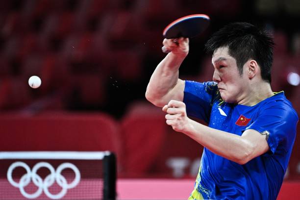 樊振东的乒乓人生:家庭背景、训练经历与成功秘诀