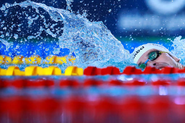 游泳级别证书的分类与标准:你属于哪一级?