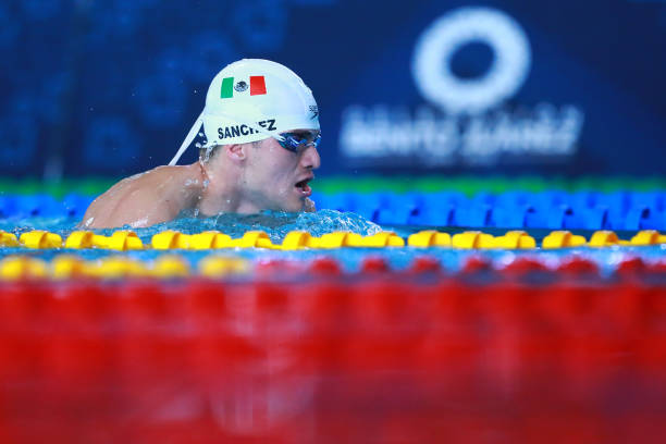 泳池赛道:从标准规格到比赛规则