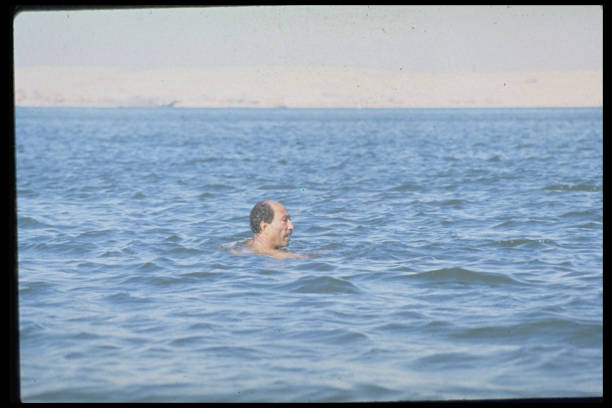 游泳技巧解析:自由泳和蛙泳的易学性与速度对比