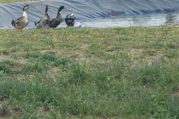 游泳新星崛起!盘点2023年世锦赛最值得关注的年轻选手