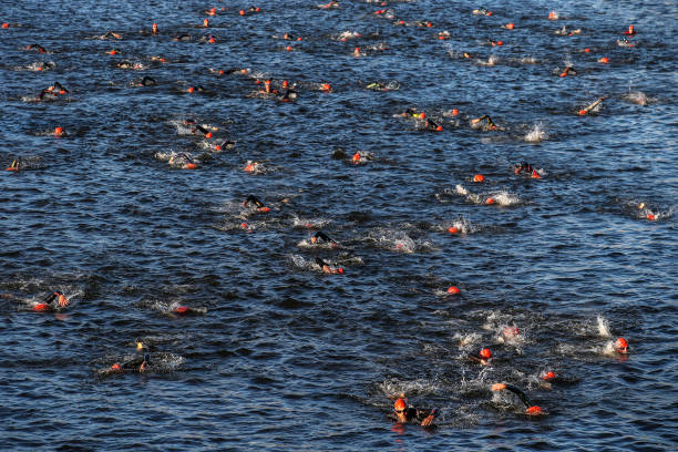 冲刺1级!游泳运动员等级考试各项目评分细则