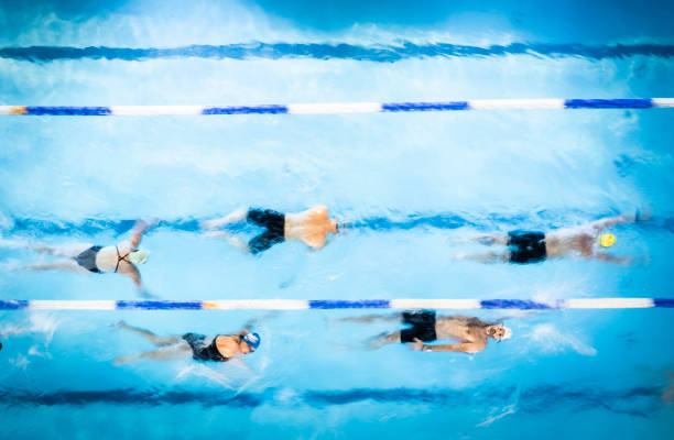 游泳赛事2024年赛程更新!最新时间表视频速递