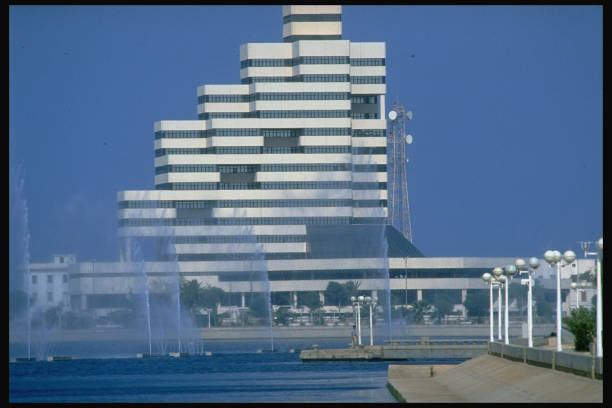 游泳冠军赛100自冠军:技术与速度的完美结合