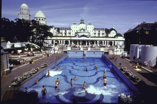 腰间盘问题患者游泳的优缺点全面解析