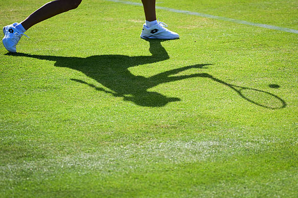 室内网球场标准尺寸详解:长度、宽度与净高要求