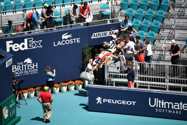 辛纳网球拍:专业选手的终极选择