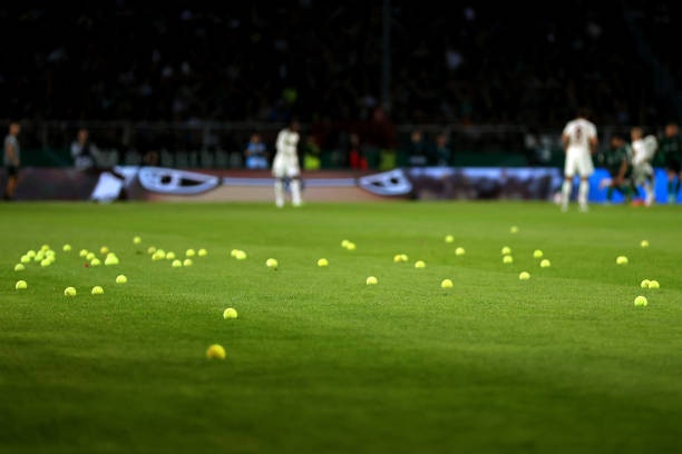 2024法网前瞻:纳达尔能否在罗兰·加洛斯再创辉煌?