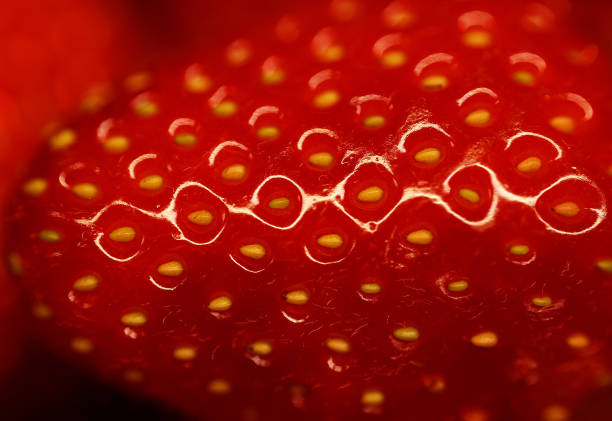 网球双打站位图解:从基础到进阶的完整教学指南