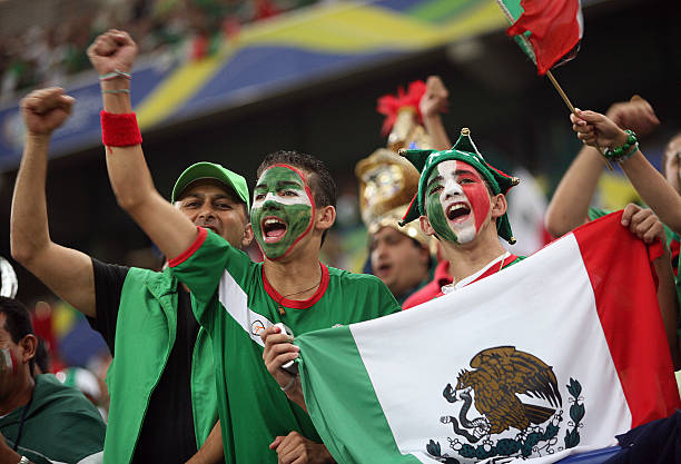 2014年世界杯荷兰队首发阵容战术解析